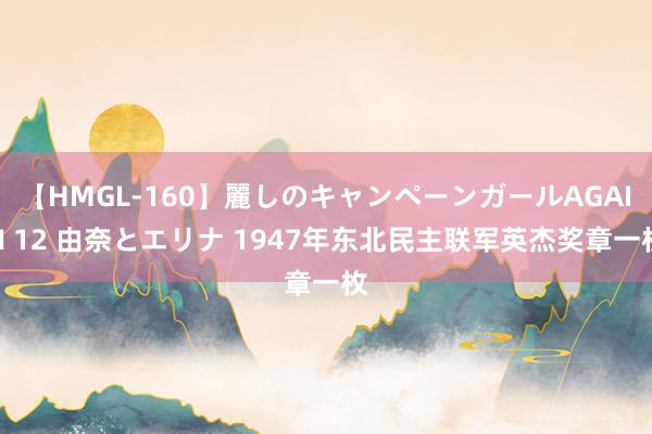 【HMGL-160】麗しのキャンペーンガールAGAIN 12 由奈とエリナ 1947年东北民主联军英杰奖章一枚