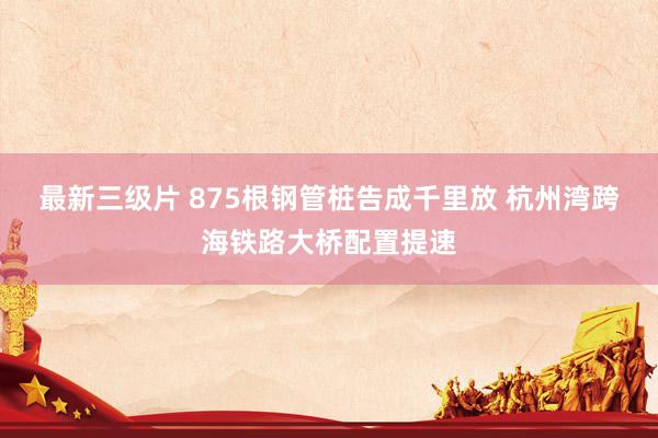 最新三级片 875根钢管桩告成千里放 杭州湾跨海铁路大桥配置提速