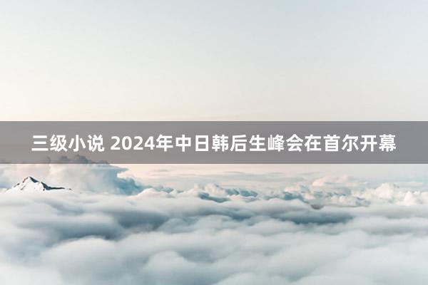 三级小说 2024年中日韩后生峰会在首尔开幕