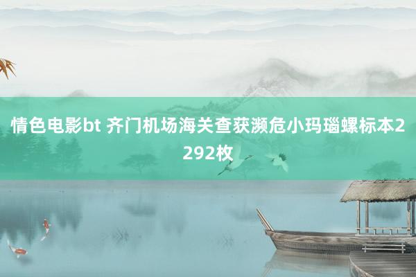 情色电影bt 齐门机场海关查获濒危小玛瑙螺标本2292枚