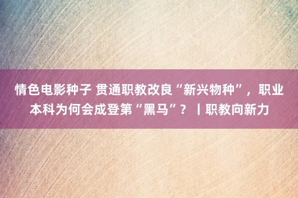 情色电影种子 贯通职教改良“新兴物种”，职业本科为何会成登第“黑马”？丨职教向新力