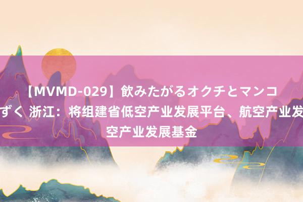 【MVMD-029】飲みたがるオクチとマンコ 雪乃しずく 浙江：将组建省低空产业发展平台、航空产业发展基金