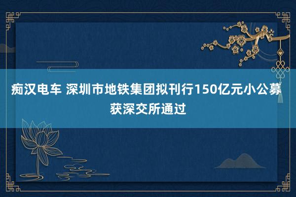 痴汉电车 深圳市地铁集团拟刊行150亿元小公募 获深交所通过