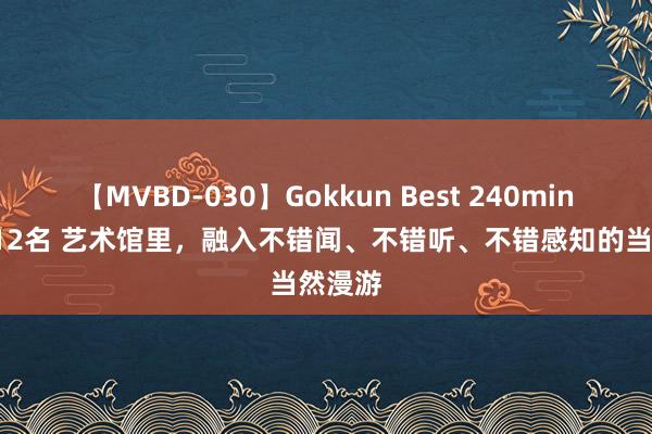 【MVBD-030】Gokkun Best 240min. 総勢12名 艺术馆里，融入不错闻、不错听、不错感知的当然漫游