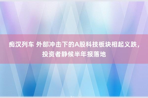 痴汉列车 外部冲击下的A股科技板块相起义跌，投资者静候半年报落地