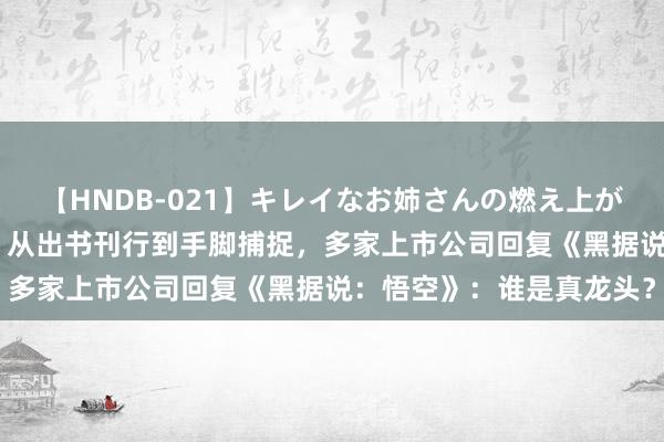 【HNDB-021】キレイなお姉さんの燃え上がる本物中出し交尾4時間 从出书刊行到手脚捕捉，多家上市公司回复《黑据说：悟空》：谁是真龙头？