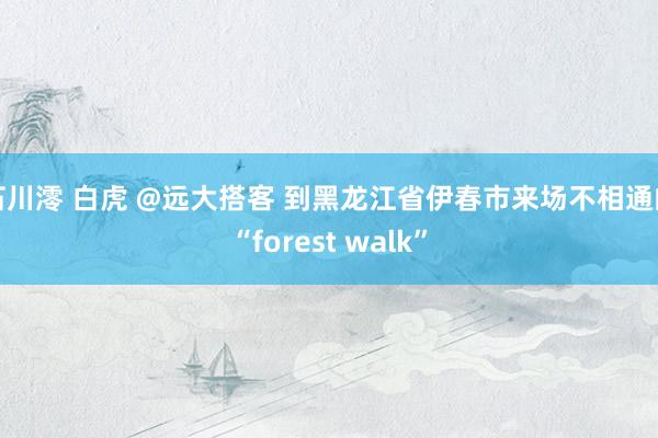 石川澪 白虎 @远大搭客 到黑龙江省伊春市来场不相通的“forest walk”