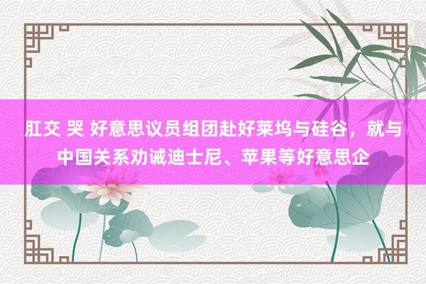 肛交 哭 好意思议员组团赴好莱坞与硅谷，就与中国关系劝诫迪士尼、苹果等好意思企