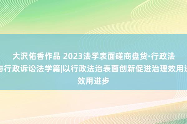 大沢佑香作品 2023法学表面磋商盘货·行政法学与行政诉讼法学篇|以行政法治表面创新促进治理效用进步