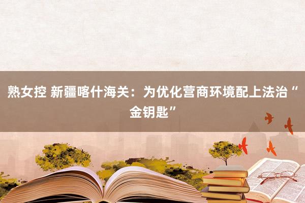 熟女控 新疆喀什海关：为优化营商环境配上法治“金钥匙”